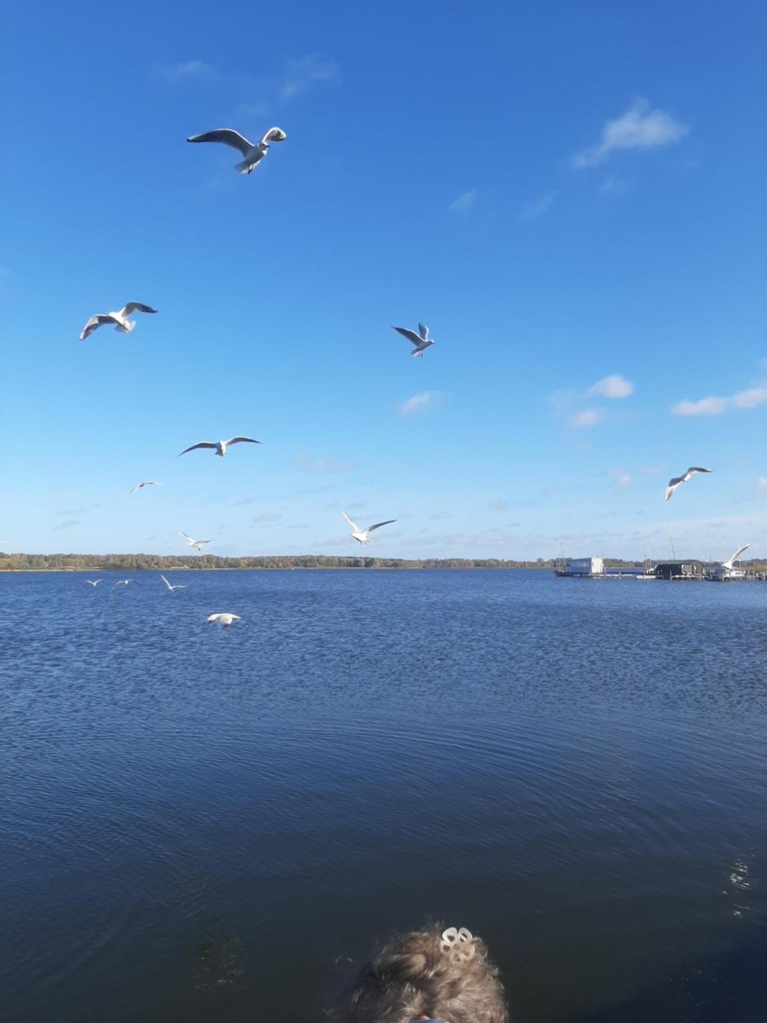 Hotel Perle Am Bodden Ribnitz-Damgarten Dış mekan fotoğraf